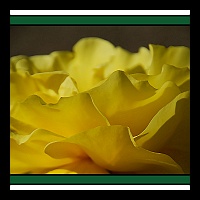 Calender photo 11